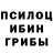 Псилоцибиновые грибы Cubensis brafau