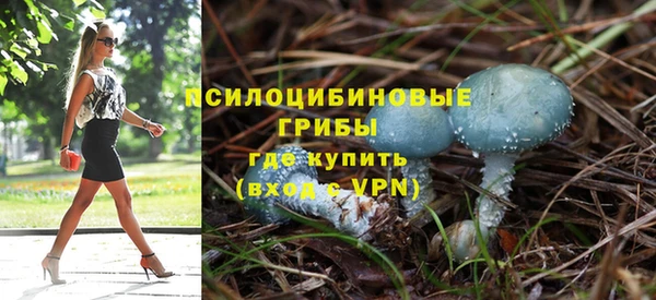 прущие грибы Осинники
