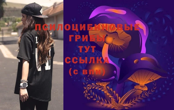 прущие грибы Осинники