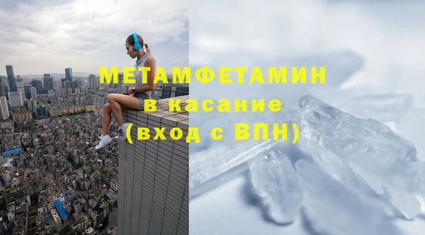 прущие грибы Осинники